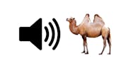 Camel Sound Effect