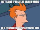 Futurama Fry Fry, Earth