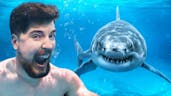 MrBeast - Diving with Sharks