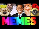 JUNGLE OF THE BEST DANK MEMES V20