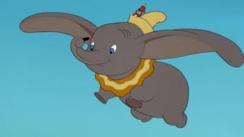 Dumbo. Dumbo. Wake up, Dumbo!