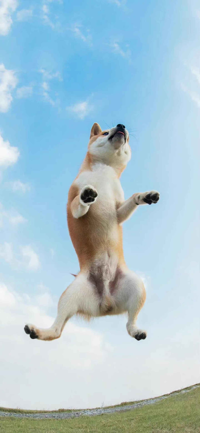 Rizzmas song Meme Sound Effect - Voicy