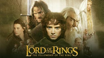 You carry a heavy burden, Frodo.