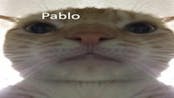 pablo