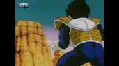 portuguese vegeta