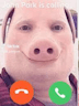 John Pork 