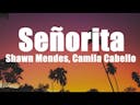 Shawn Mendes & Camila Cabello - Senorita