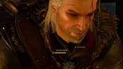 I'm Just A Witcher 
