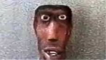 Niglet Nigger+meme Sounds and Sound Effects - Voicy