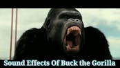 Buck Gorilla Sound 1