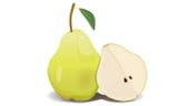 Pear Chewing 
