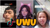 Uwu TikTok Trend Compilation