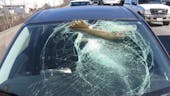 Smashing Car Windshield Series