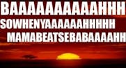 lion king funny song
