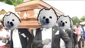 Coffin dance(Gabe the dog)