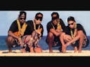 2 Live Crew - The Roof is on Fire