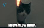 Meow Meow NI🅱️🅱️A