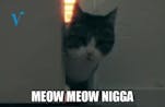 Meow Meow NI🅱️🅱️A