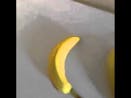 BANANANANANANANANANANANANAN