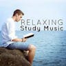 Study Music 20 Seconds