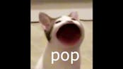 Popcat