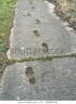 Footsteps concrete