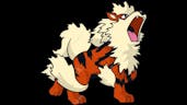 Arcanine Growl