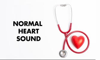 Stethoscope heartbeat