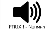 FAUX ! - Norman