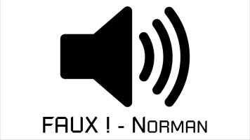 FAUX ! - Norman