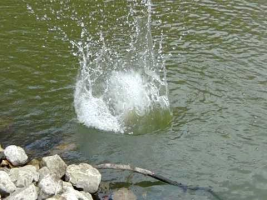 Rocks into water