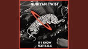 Nubiyan Twist - If I Know 