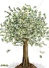 Money trees#$