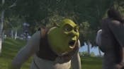 Shrek saying donkey