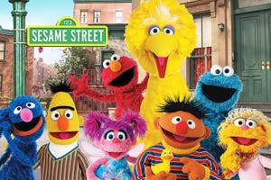 Big Bird Coming Soon
