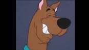 scooby doo so bad