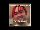 PEEPEEPOOPOO CHECK (FULL TIKTOK SONG)
