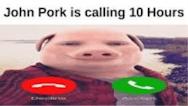 john pork is calling Sound Clip - Voicy
