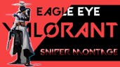 Valorant Cypher Eagle eye 