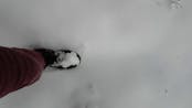 Walking On Snow