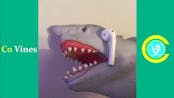 Shark Puppet Funny Shark Puppet Videos