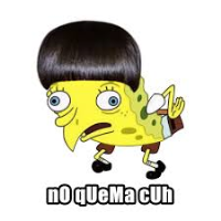 Caillou visual data 7