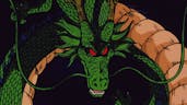 shenron