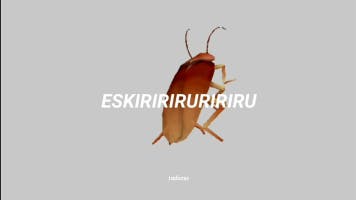 cockroach dancing