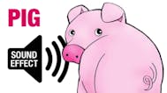 Oink