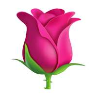 Rose Toy Sounds and Sound Effects - Voicy