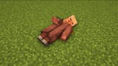 Baby villager death 