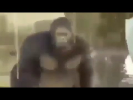 Look at this monkey by ASDASDHUN Sound Effect - Meme Button - Tuna