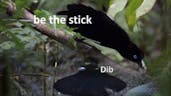 Clean The Stick