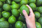 avocados from mexico